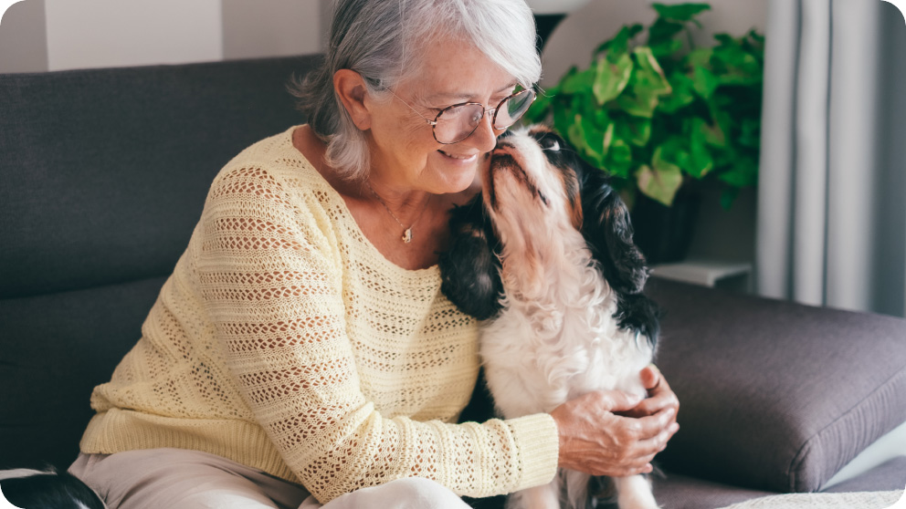 Elderly woman in a yellow sweater holding and smiling at a small dog on a couch.